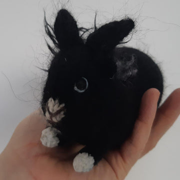 House rabbit Flapper