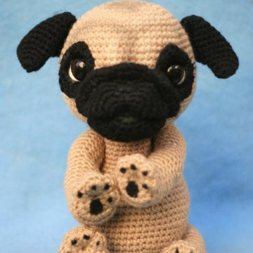Queency The Pug Puppy