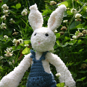 BunBun the Cuddly Rabbit