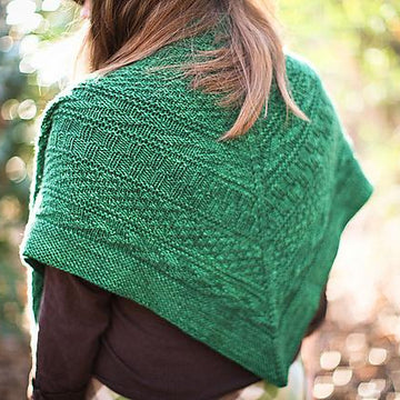 Barbara W. (Plucky Knitter Series)