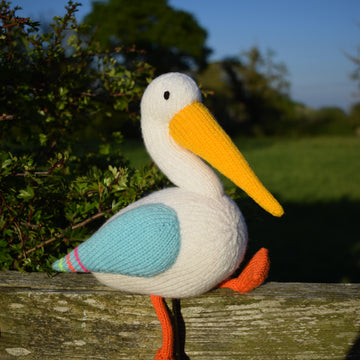 Peggy the Pelican