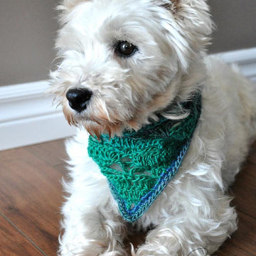 Rigby Scarf