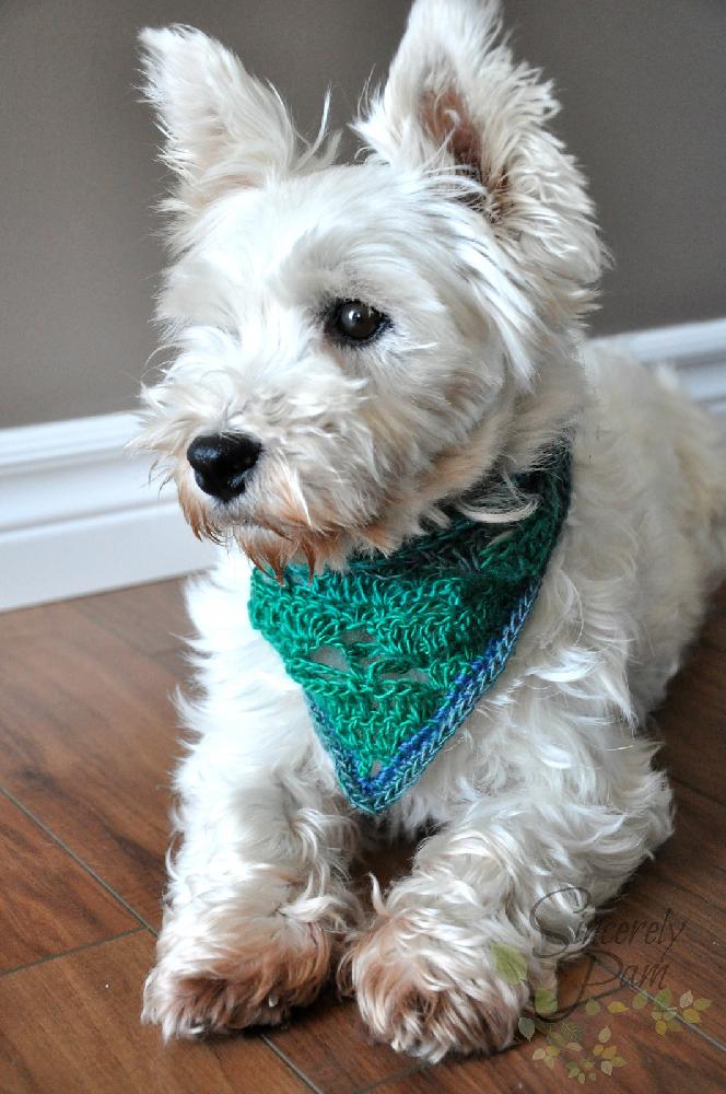 Rigby Scarf
