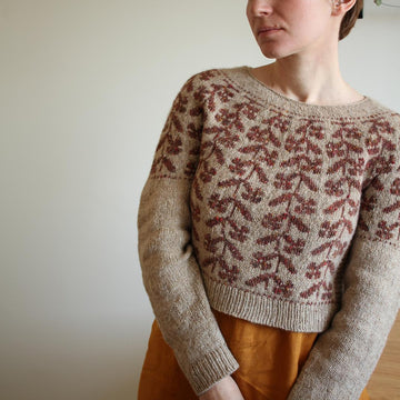 Pictus pullover