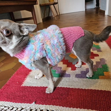 Pull Yeti pour petits chiens