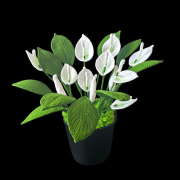 Crochet Peace Lily flowers pattern