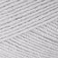 Silver (3101)