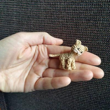 Miniature kitten