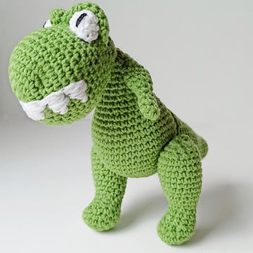 Dinosaur Baby T_Rex