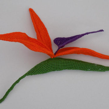 Strelitzia (Bird of Paradise)