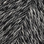 TV Static