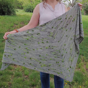 Assignment Shawl