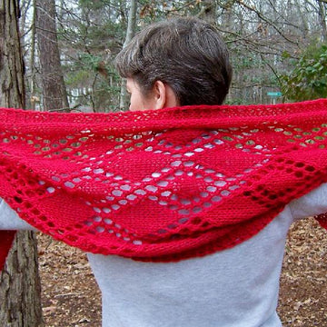 Sita's Special Shawl