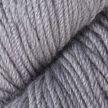 Silver Fox (065)