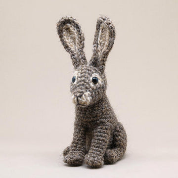 Hazy the hare