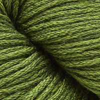 Forest (127)