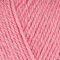 Wild Rose (5511)