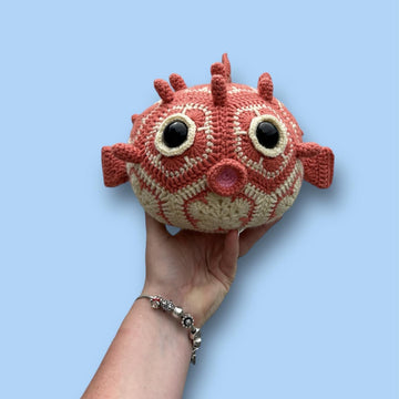 Bubbles the African Flower Puffer Fish