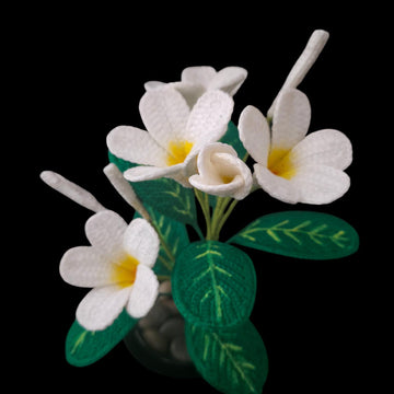 Crochet Plumeria flowers pattern