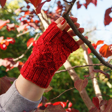 Rose Jam Mitts