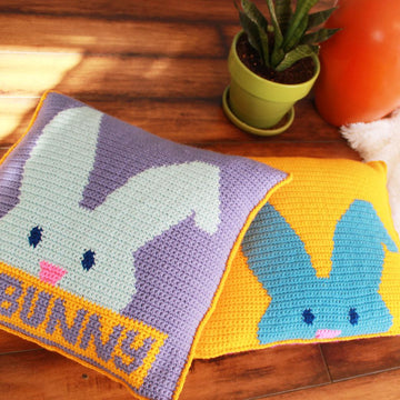 Easter Bunny Pillow & Banner
