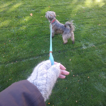 Bempton Mittens