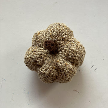 Small Autumnal Pumpkin