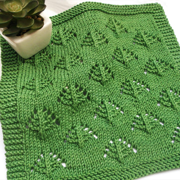 Issa dishcloth