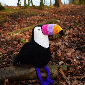 Graham the Toucan