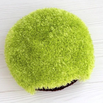 Reptile hide Hobbit hole pet bed