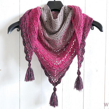 Ana Lucia Shawl