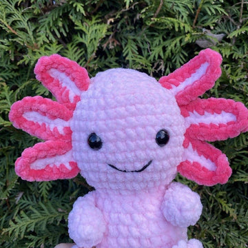 Little Axolotl