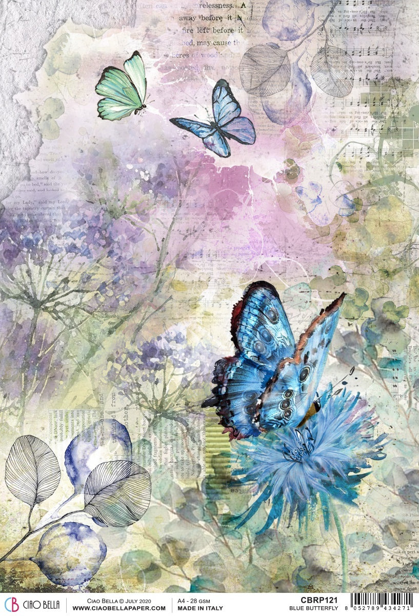 Ciao Bella Rice Paper Sheet A4 5/Pkg - Blue Butterfly, Microcosmos