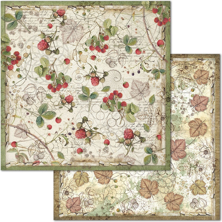 Stamperia Intl Stamperia Double-Sided Cardstock 12"X12" 10/Pkg - Undergrowth