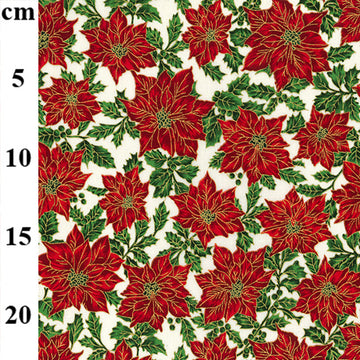 Rose & Hubble Christmas 2022 - Poinsetta