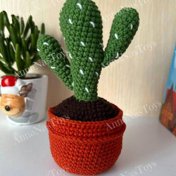 Cactus 2 in a pot