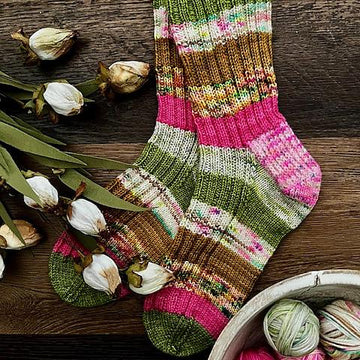 Stash Dash Socks