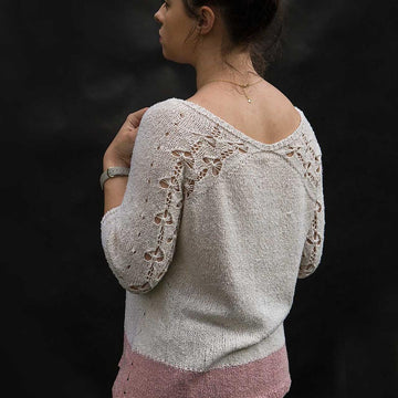 Laceback Motyle