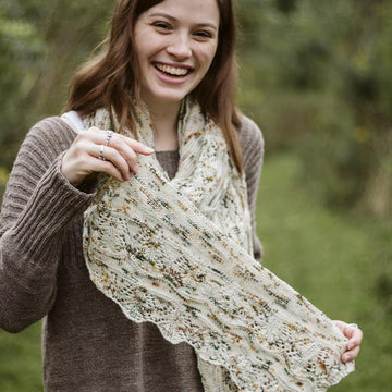 Fern Canyon