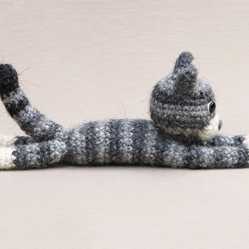 Dandylion kitty cat