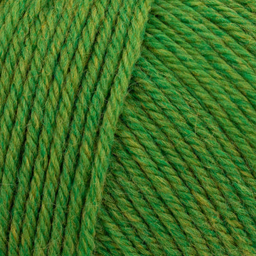 Fern Heather (384)