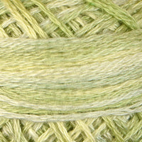 Lime Sherbet (VA10543)