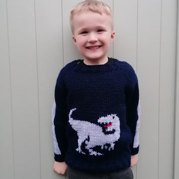 Chunky T Rex Jumper