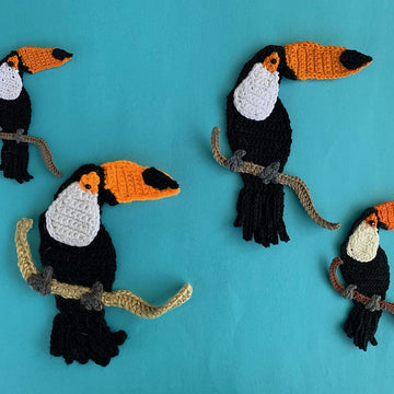 Toucan