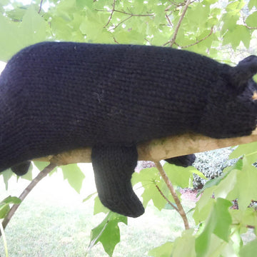 Smoky Mountain Bear