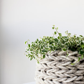 Chunky Knit Basket Pattern Large + Small (Arm Knitting)