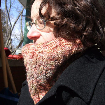 Medallions Cowl