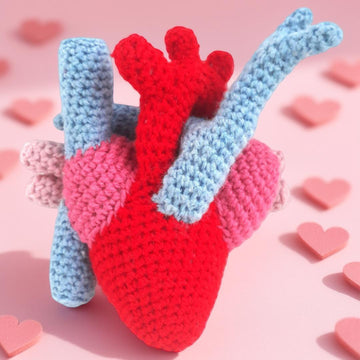 Anatomical Heart