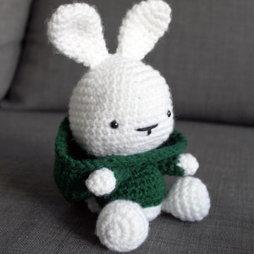 Some Bunny in the Hood