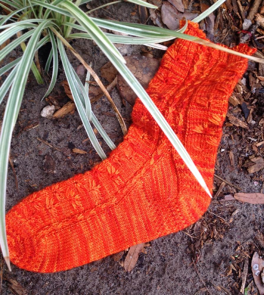 Cactus Flower Toe Up Sock